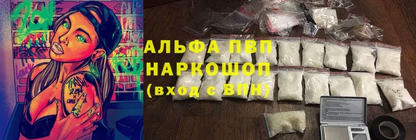 apvp Белокуриха