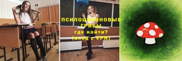 apvp Белокуриха