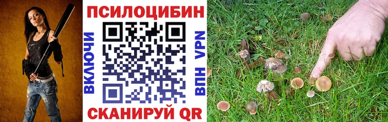 наркошоп  Болотное  Галлюциногенные грибы Cubensis 